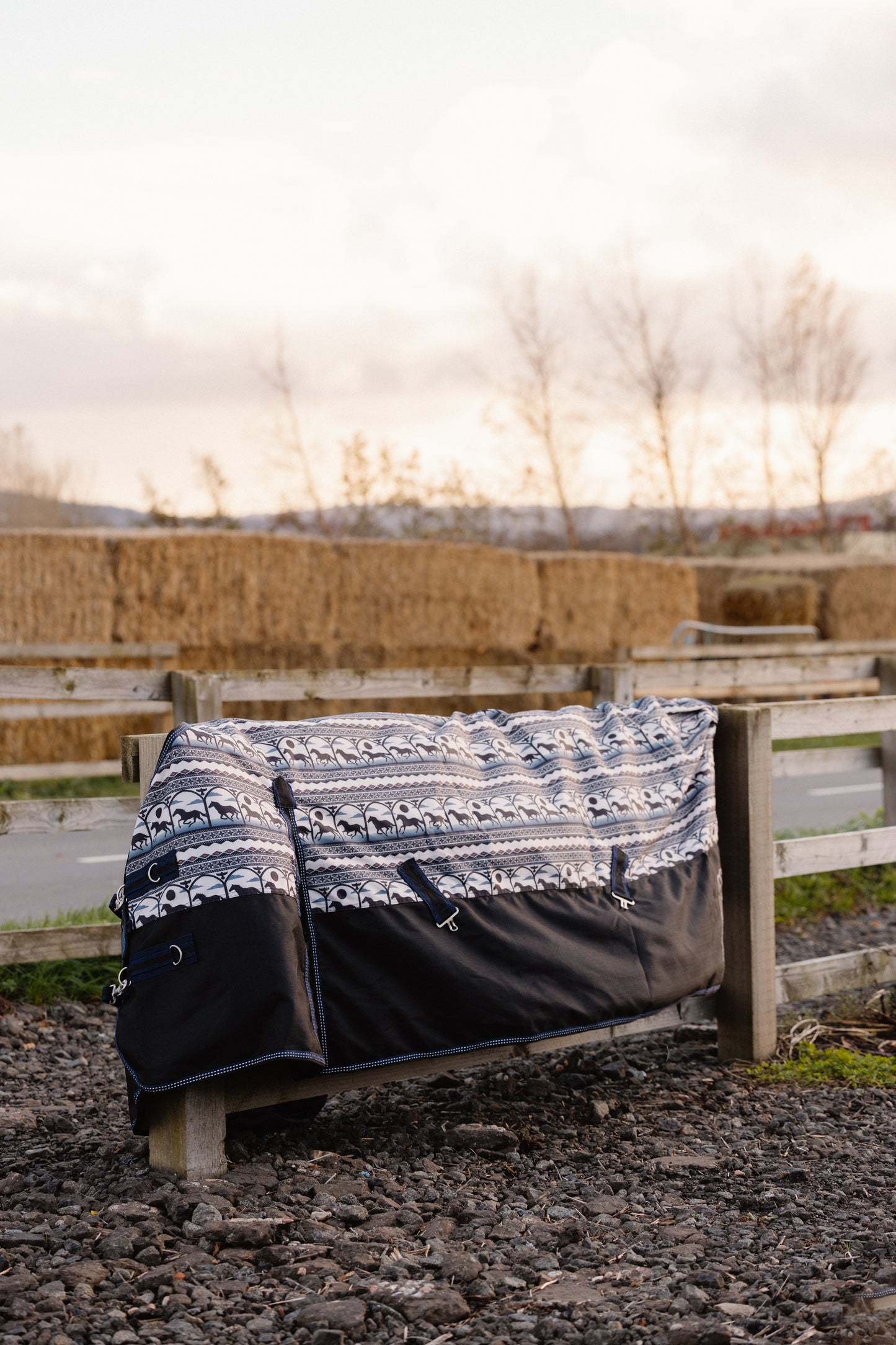 Midnight Stampede|Outlaw Horse Rugs by Bad Cowgirl Co.