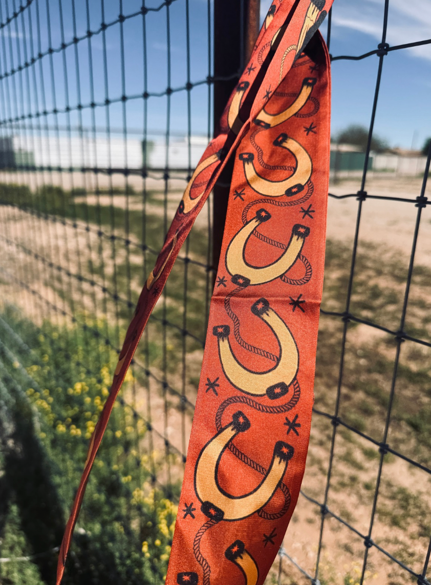 Outlaw Eden Silk Blend Twilly | Western Twilly Scarf