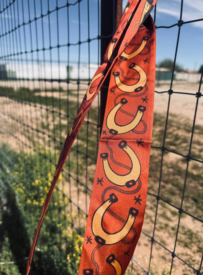 Outlaw Eden Silk Blend Twilly | Western Twilly Scarf